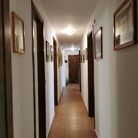 House Stephanotus *